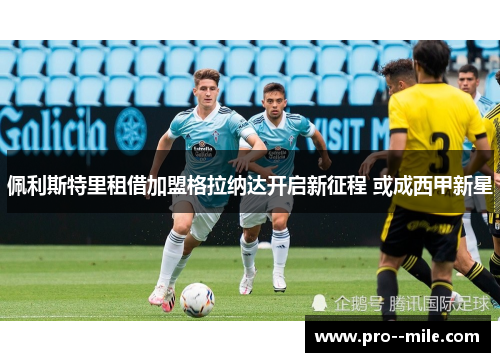佩利斯特里租借加盟格拉纳达开启新征程 或成西甲新星 佩利斯特里租借加盟格拉纳达开启新征程 或成西甲新星
